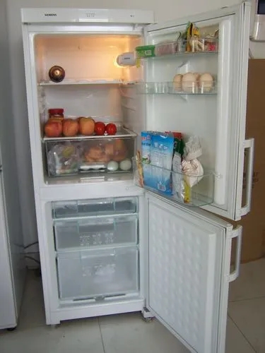 冰箱故障判断与维修：西门子冰箱冷凝器发出振动声的原因是什么？