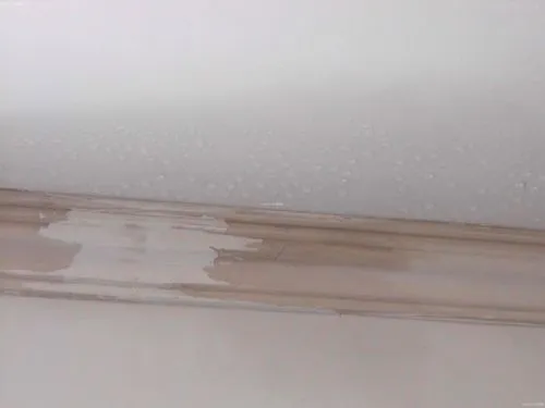 楼顶漏水，使用哪种防水涂料比较好？