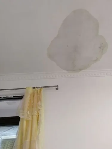 楼下天花板渗水真的是楼上导致的嘛？