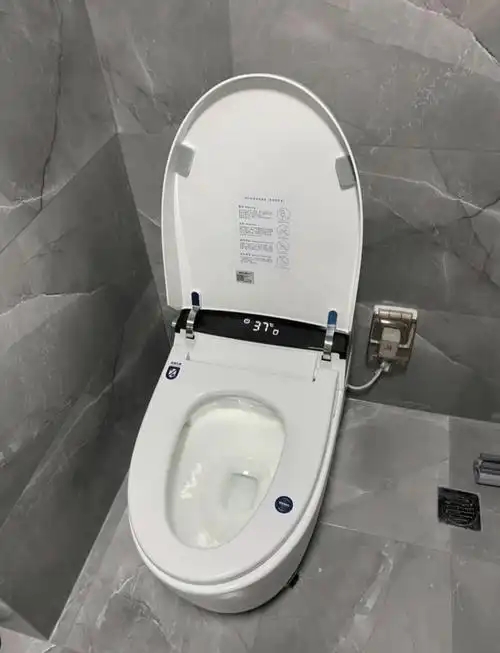 智能马桶臀部清洗功能不出水的主要原因有哪些